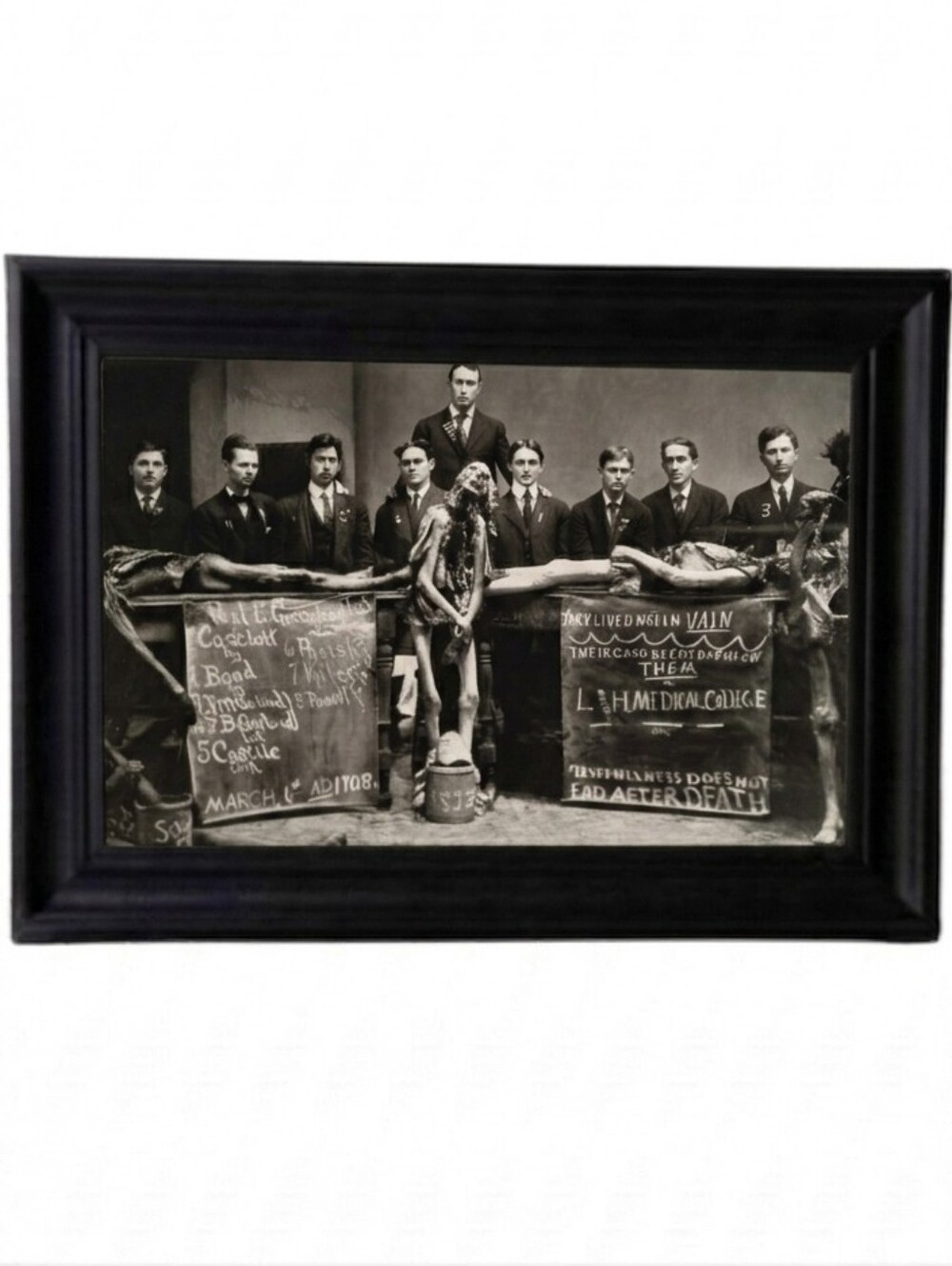 Vintage Post Mortem College Until Death Oddity Goth Dark Victorian era oddities